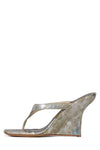 Beige Silver White