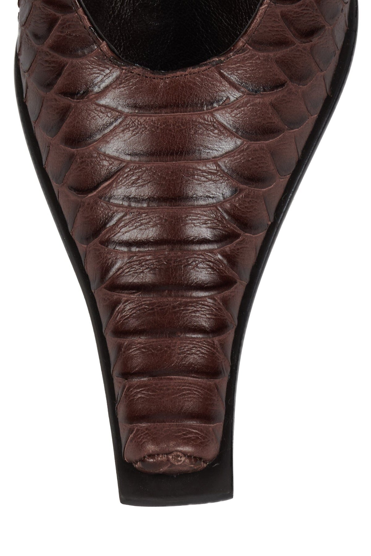 PARALLAX Heeled Mule - Brown Snake |Jeffrey Campbell